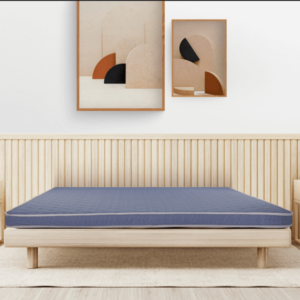 Đệm bông ép goodsleep 180*200*9cm